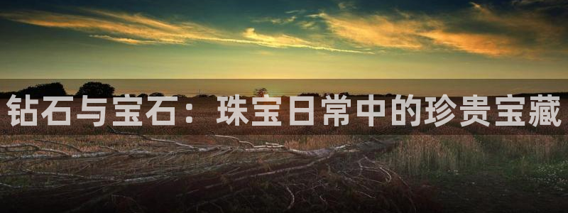 新宝5培训：钻石与宝石：珠宝日常中的珍贵宝藏