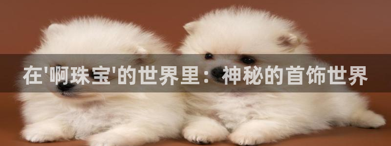 新宝5平台登录：在\'啊珠宝\'的世界里：神秘的首饰世界