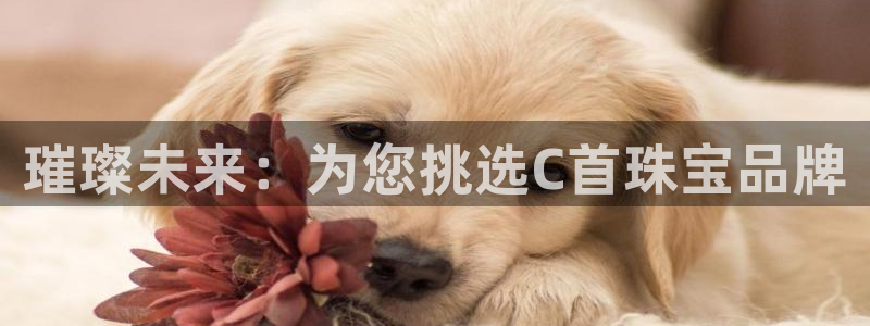 新宝5内部：璀璨未来：为您挑选C首珠宝品牌