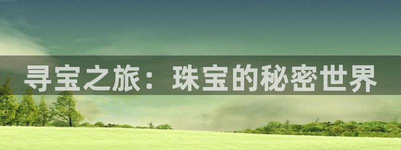 新宝G5：寻宝之旅：珠宝的秘密世界