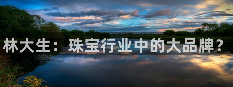 新宝5娱乐然：林大生：珠宝行业中的大品牌？