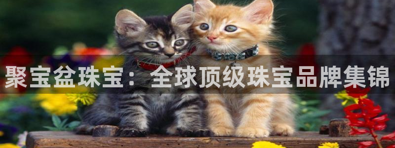 新宝5褚74OOO5：聚宝盆珠宝：全球顶级珠宝品牌集锦