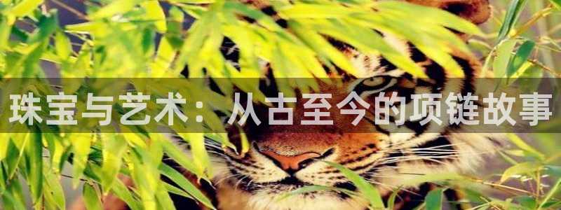 新宝5测速下载：珠宝与艺术：从古至今的项链故事