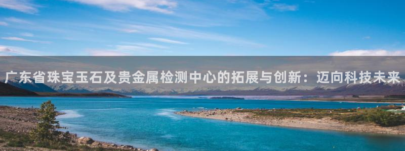 新宝5浗维33 300：广东省珠宝玉石及贵金属检测中心的拓展与创新：迈向科技未来
