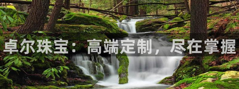 新宝5手机登录：卓尔珠宝：高端定制，尽在掌握