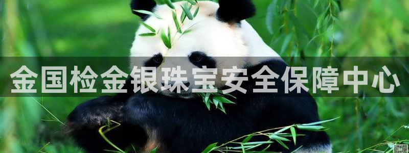 新宝5官方网站：金国检金银珠宝安全保障中心