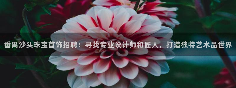 新宝5月：番禺沙头珠宝首饰招聘：寻找专业设计师和匠人，打造独特艺术品世界