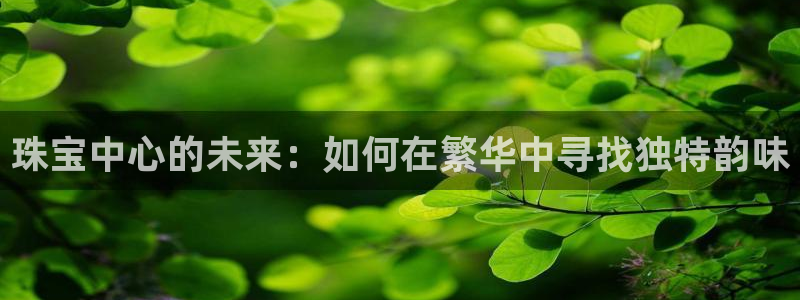 新宝5苹果手机下载：珠宝中心的未来：如何在繁华中寻找独特韵味