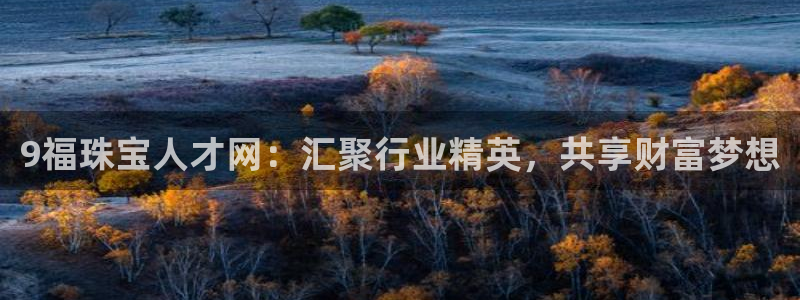 新宝5球维33 300：9福珠宝人才网：汇聚行业精英，共享财富梦想