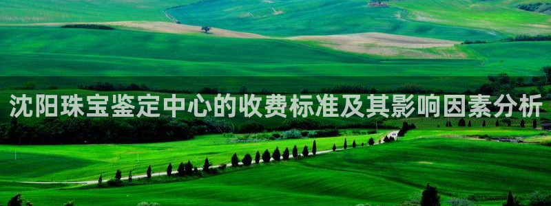 新宝5骗术：沈阳珠宝鉴定中心的收费标准及其影响因素分析