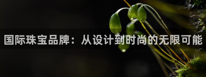 新宝5怎么下载到桌面：国际珠宝品牌：从设计到时尚的无限可能