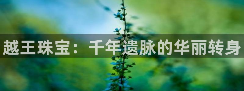 新宝5日谢29999：越王珠宝：千年遗脉的华丽转身
