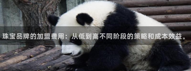 新宝5是谁的：珠宝品牌的加盟费用：从低到高不同阶段的策略和成本效益。