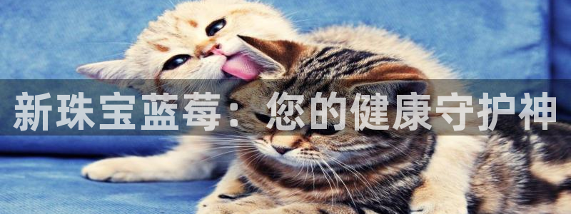 新宝5平台霸：新珠宝蓝莓：您的健康守护神