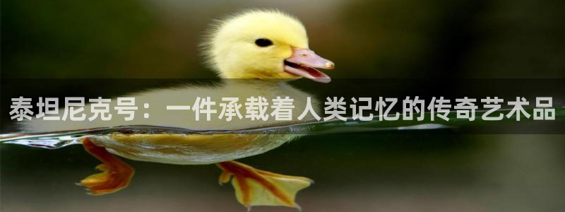 新宝5褚74OOO5：泰坦尼克号：一件承载着人类记忆的传奇艺术品