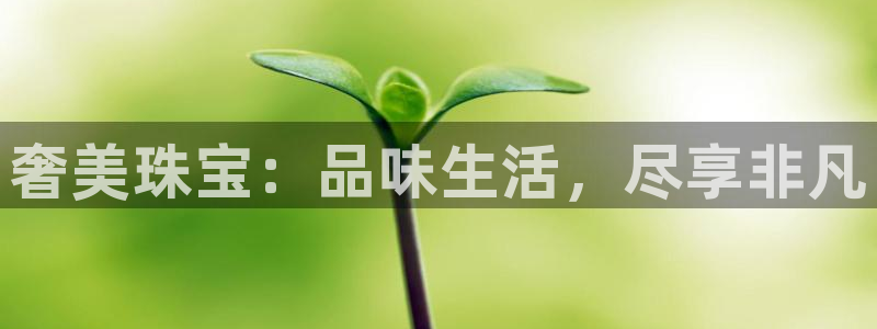 新宝5测速平台登录：奢美珠宝：品味生活，尽享非凡