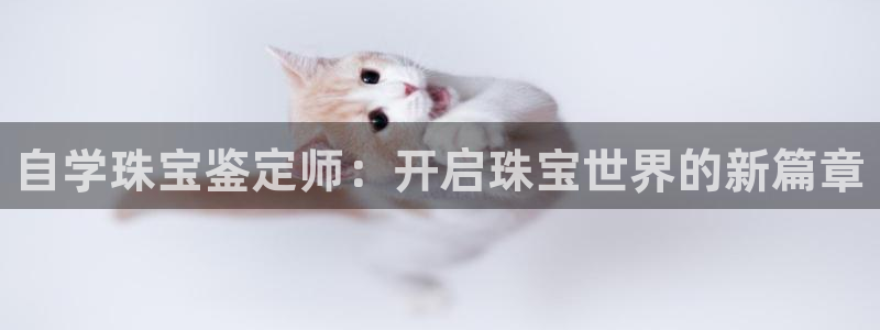 新宝5注册登录：自学珠宝鉴定师：开启珠宝世界的新篇章