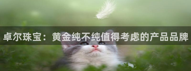 新宝5安卓版：卓尔珠宝：黄金纯不纯值得考虑的产品品牌
