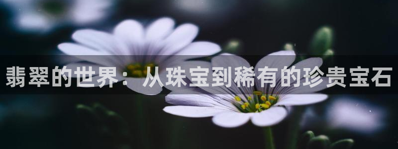 新宝5怎么下载到桌面：翡翠的世界：从珠宝到稀有的珍贵宝石