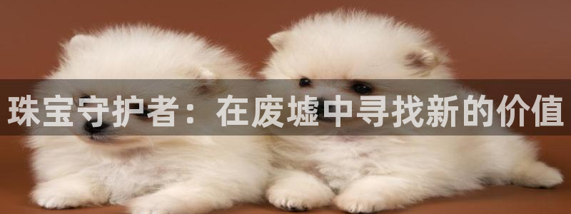 新宝m2O5O5O：珠宝守护者：在废墟中寻找新的价值