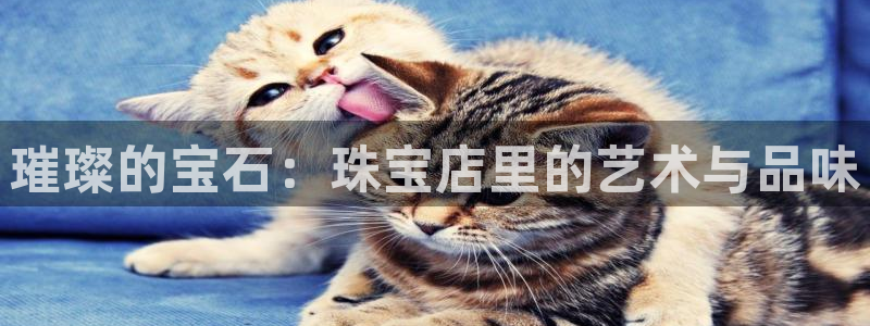 菲律宾新宝5老板：璀璨的宝石：珠宝店里的艺术与品味