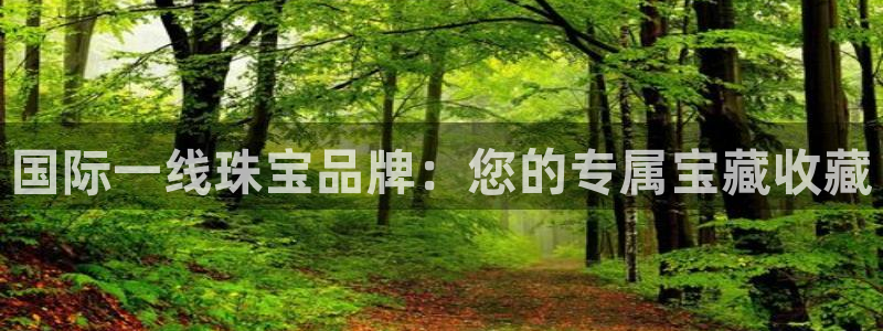 p5r新宝魔：国际一线珠宝品牌：您的专属宝藏收藏