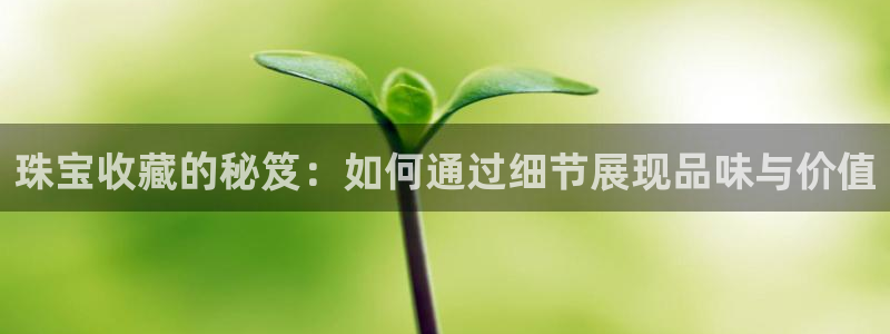 新宝5平台登录下载软件：珠宝收藏的秘笈：如何通过细节展现品味与价值