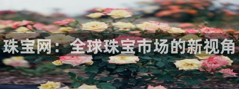 新宝5登录霸：珠宝网：全球珠宝市场的新视角