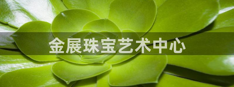 新宝5手机下载：金展珠宝艺术中心
