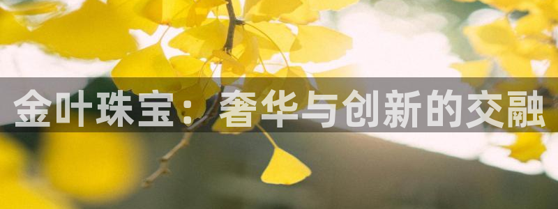 新宝那2O5O5O：金叶珠宝：奢华与创新的交融