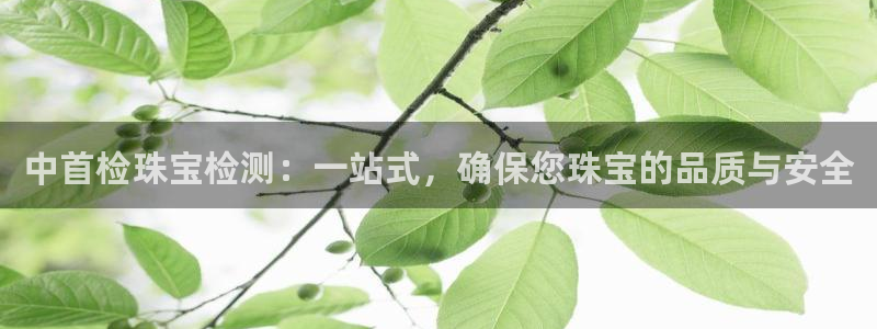 新宝5下载注册：中首检珠宝检测：一站式，确保您珠宝的品质与安全