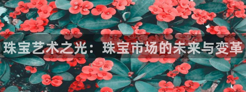新宝5娱乐都：珠宝艺术之光：珠宝市场的未来与变革