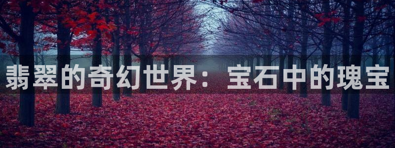 新宝5周74OOO5：翡翠的奇幻世界：宝石中的瑰宝